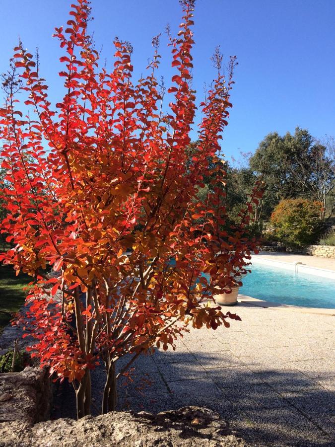 Suite - Vue sur Jardin