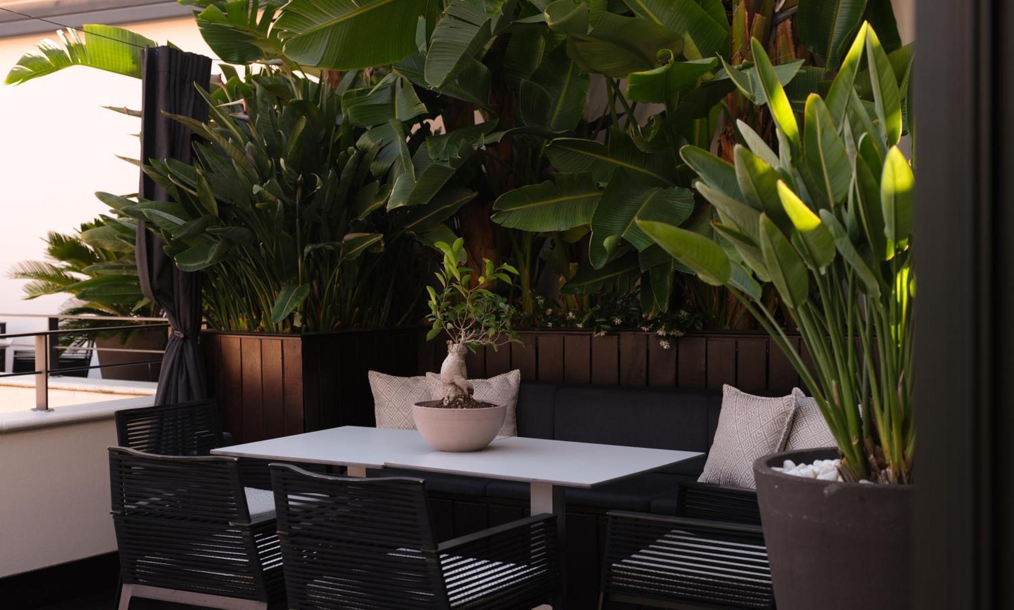 Suite avec Terrasse Privative et Bain à Remous