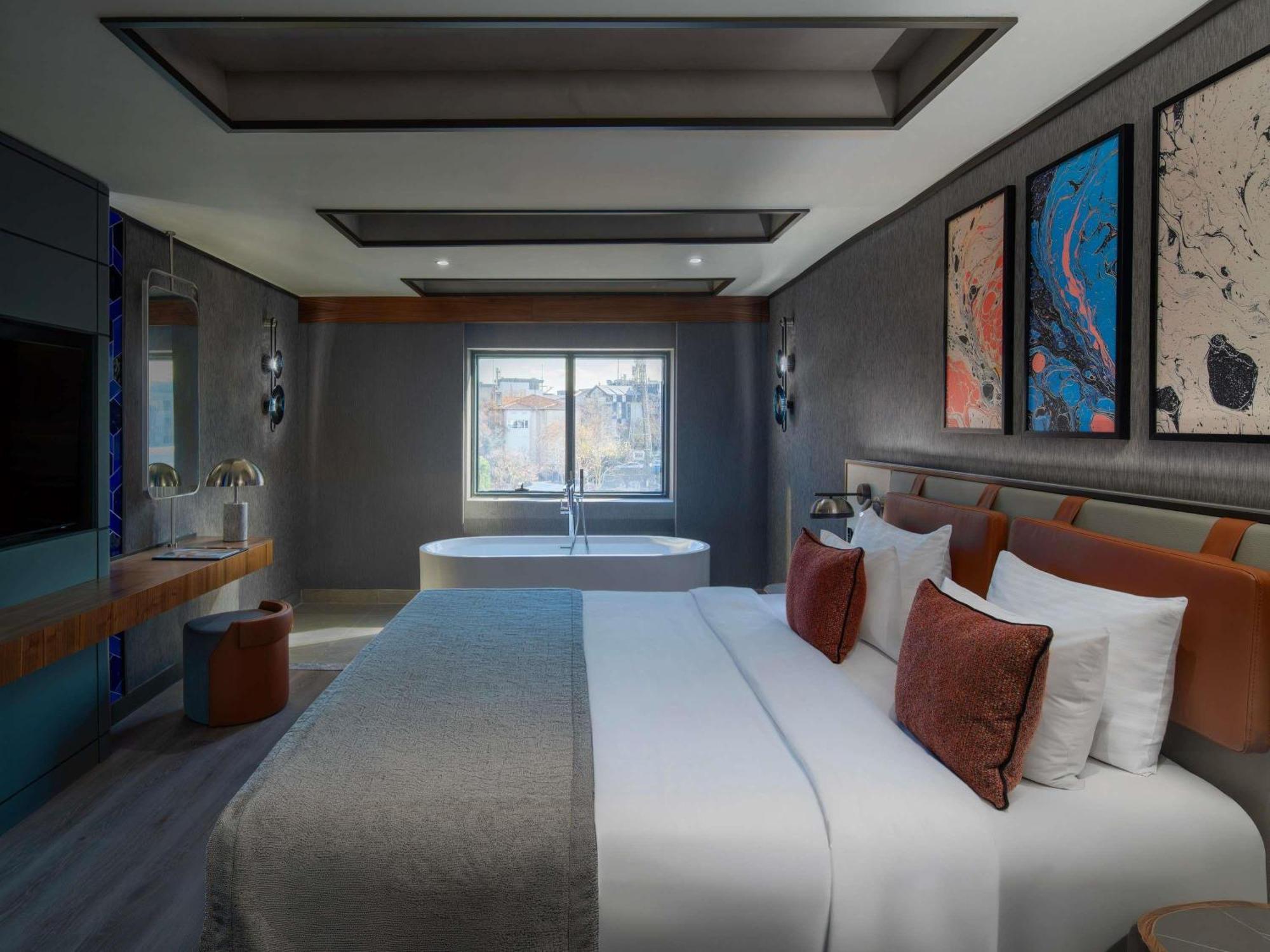 Superior Suite Sofa Bed,1742793318:JPEG