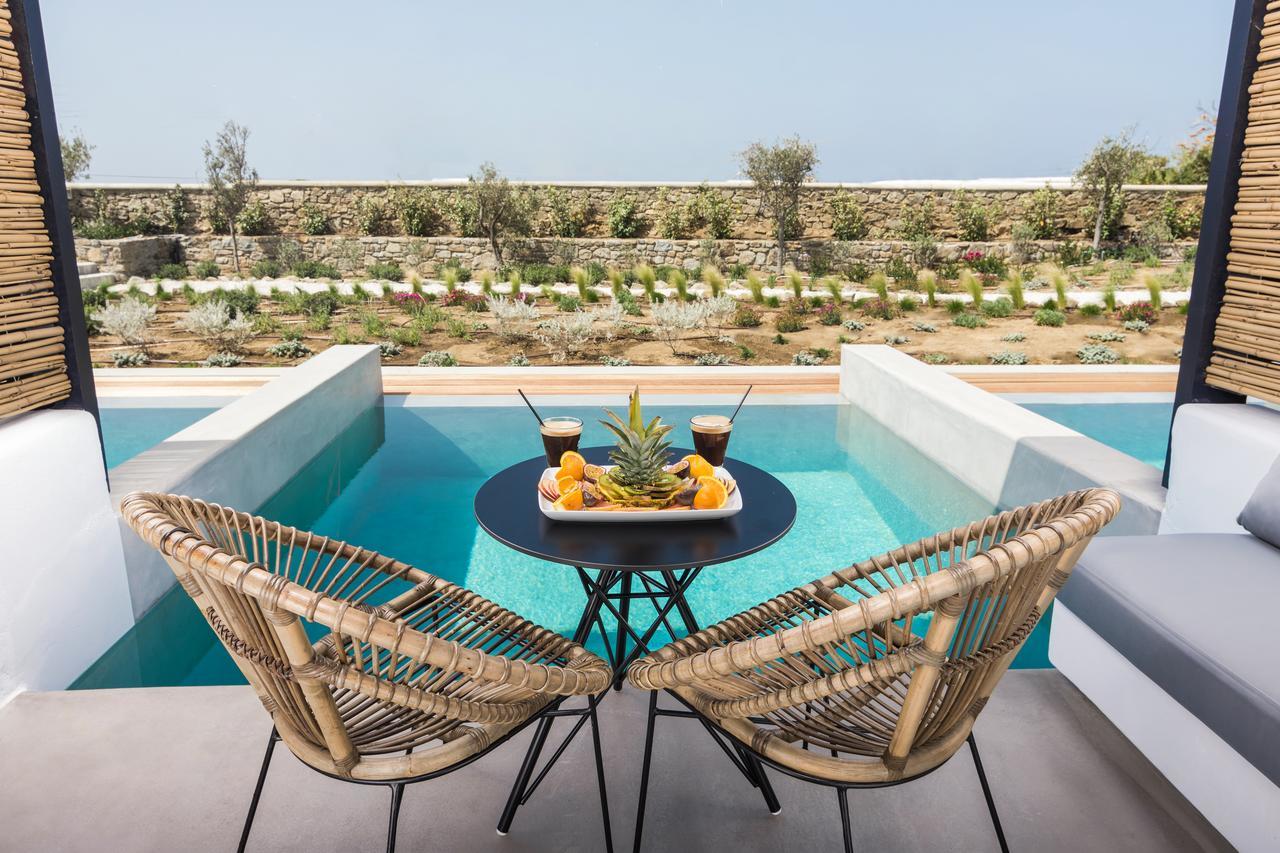 Suite Junior avec Piscine Privée