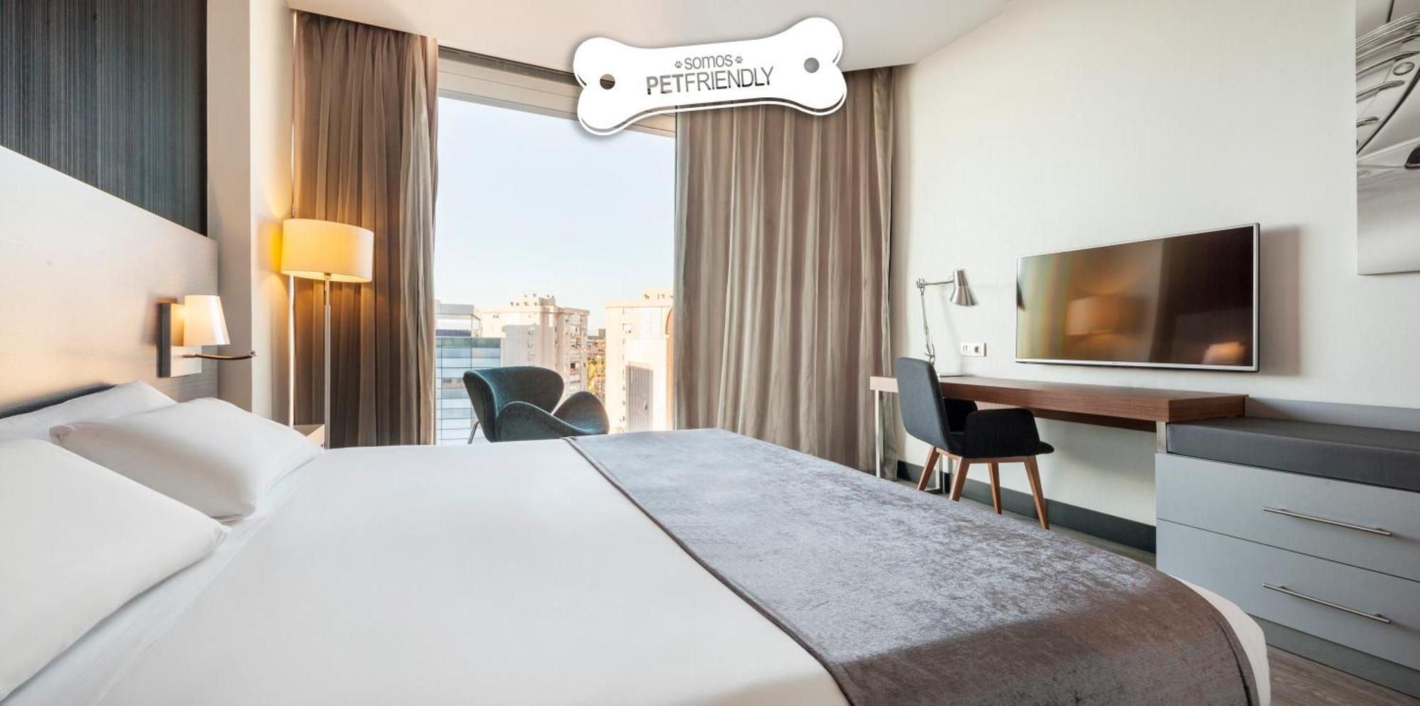 Chambre Double Standard - Animaux Domestiques Admis