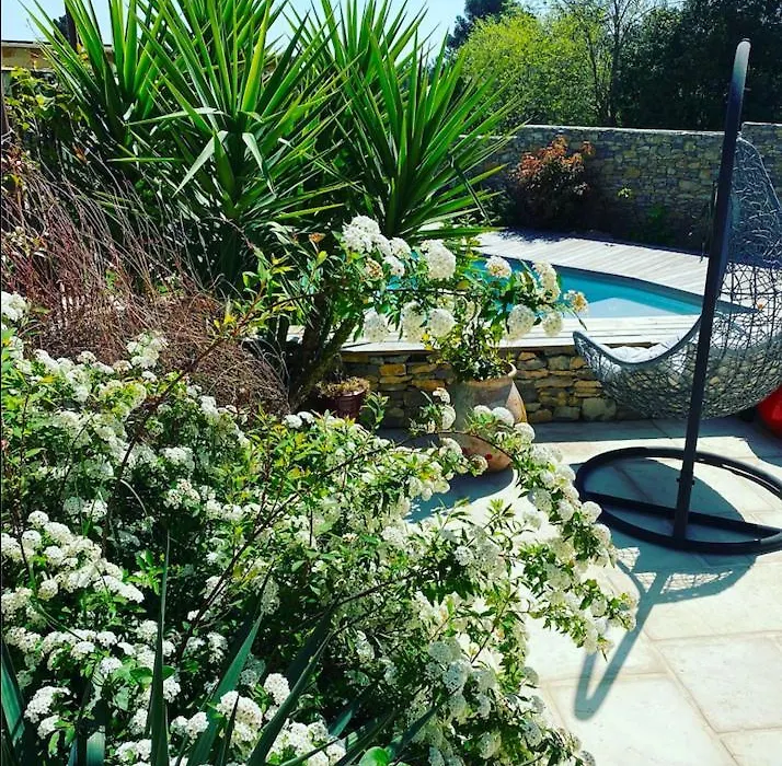 le pool house-1