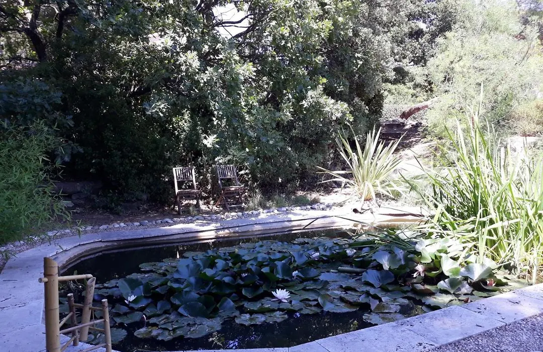 Parfums de Provence L'Oliveraie - Piscine chauffée&Spa-1