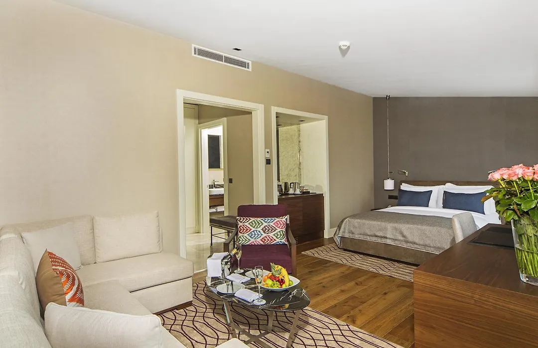 Arts Hotel Istanbul Harbiye - Special Class-1