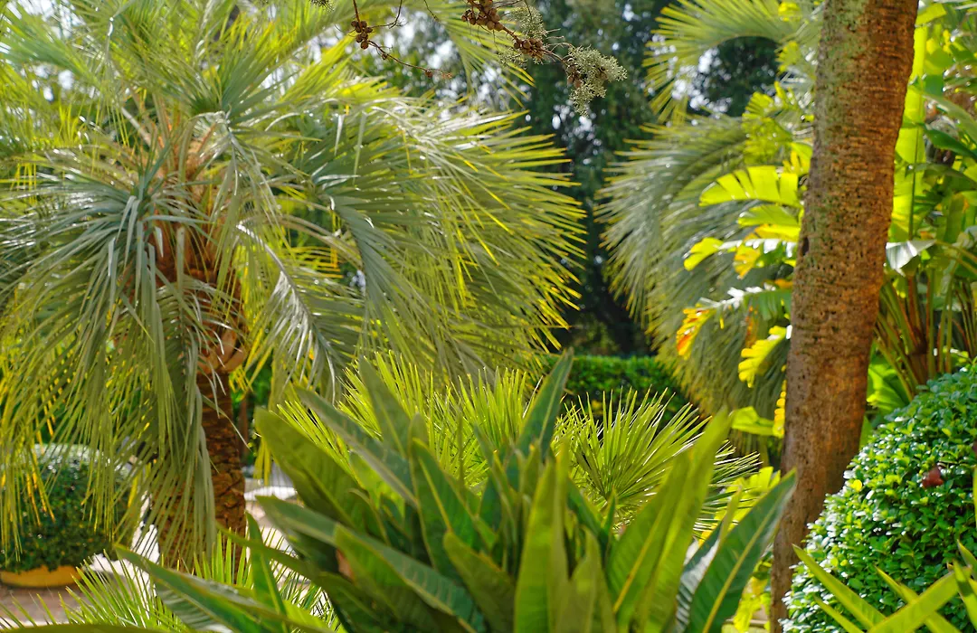 Radisson Hotel Cannes Seaside-1