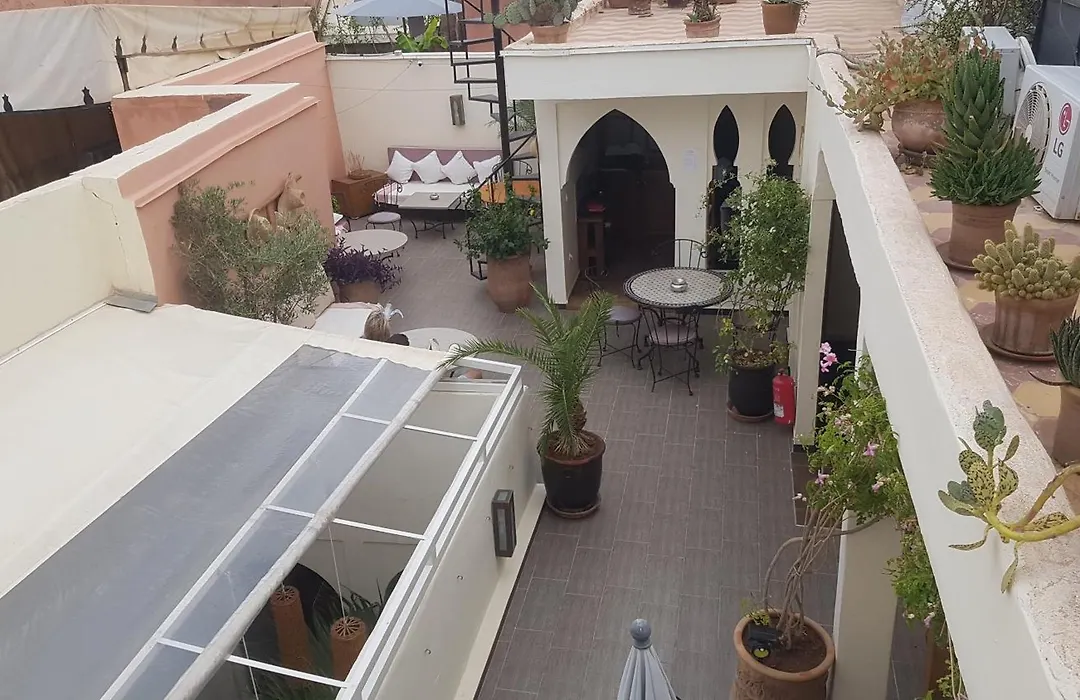 Riad Safina-1