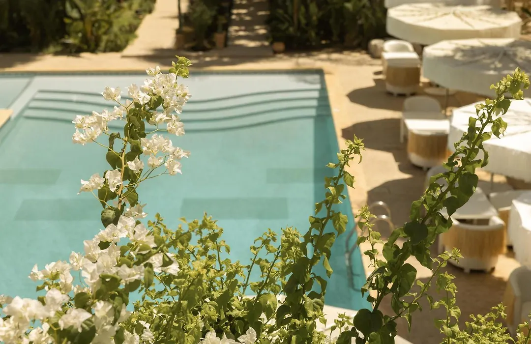 Les Palmiers Boutique Hôtel&Spa-1