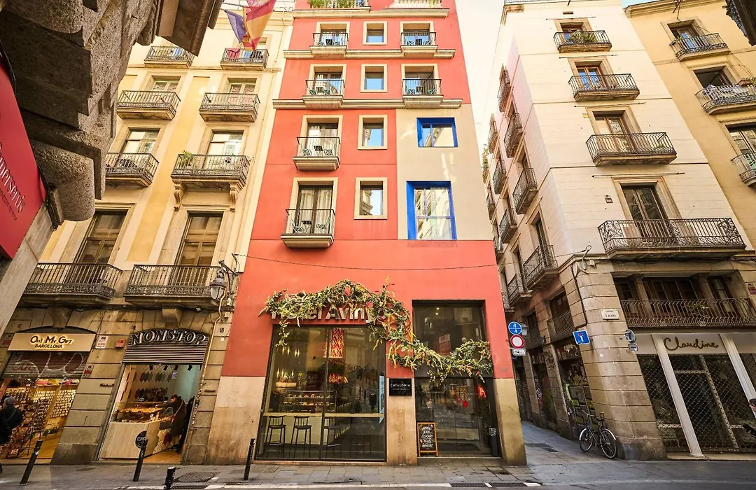 Catalonia Avinyo-1