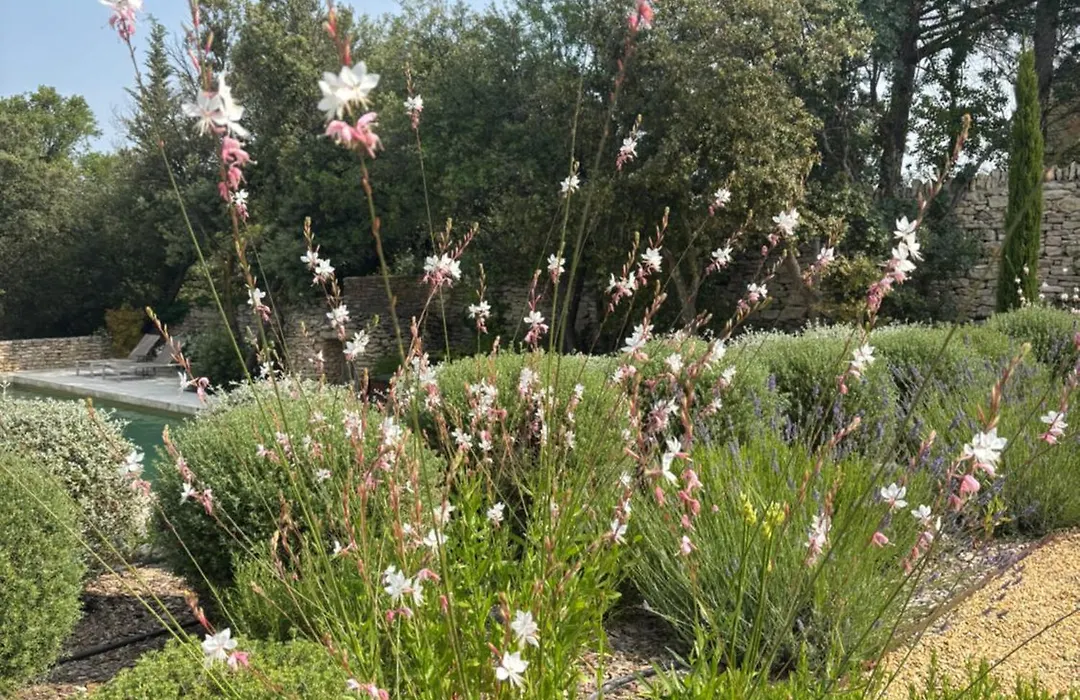 Le jardin suspendu-1