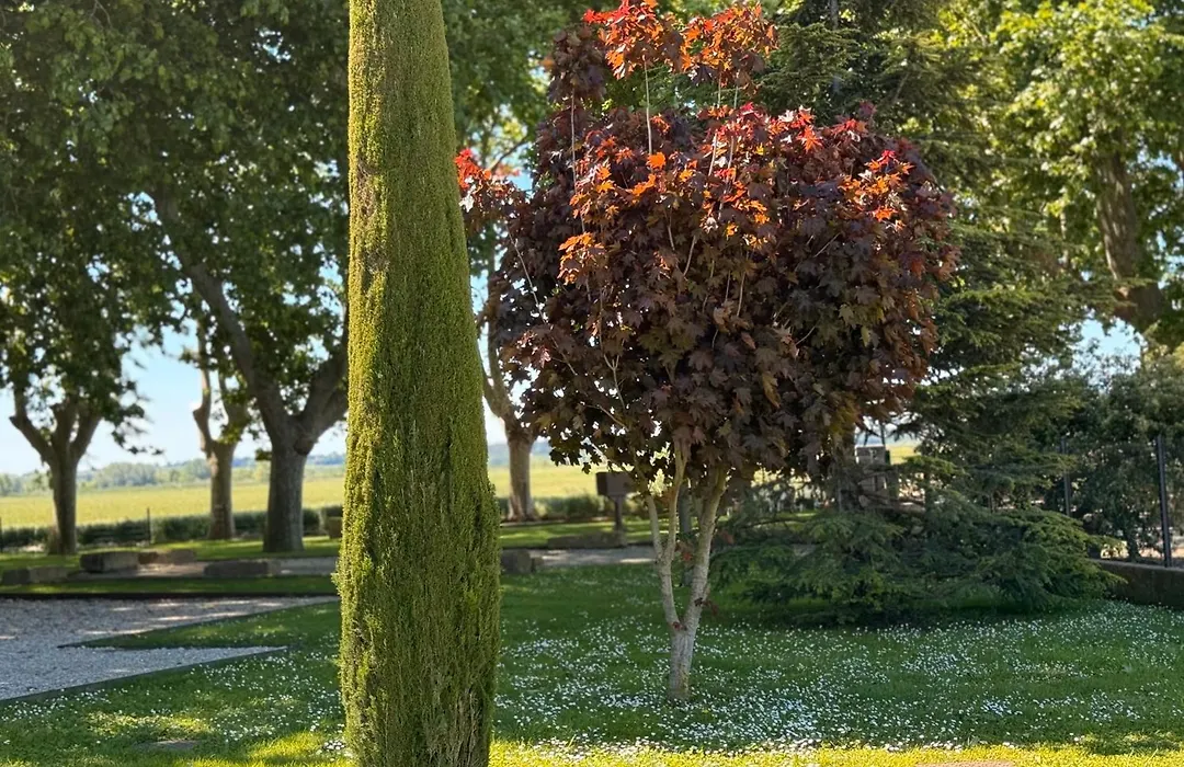 Le Domaine de Laforest-1