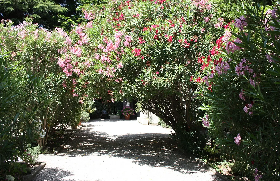 Hôtel le Chalet Fleuri-1