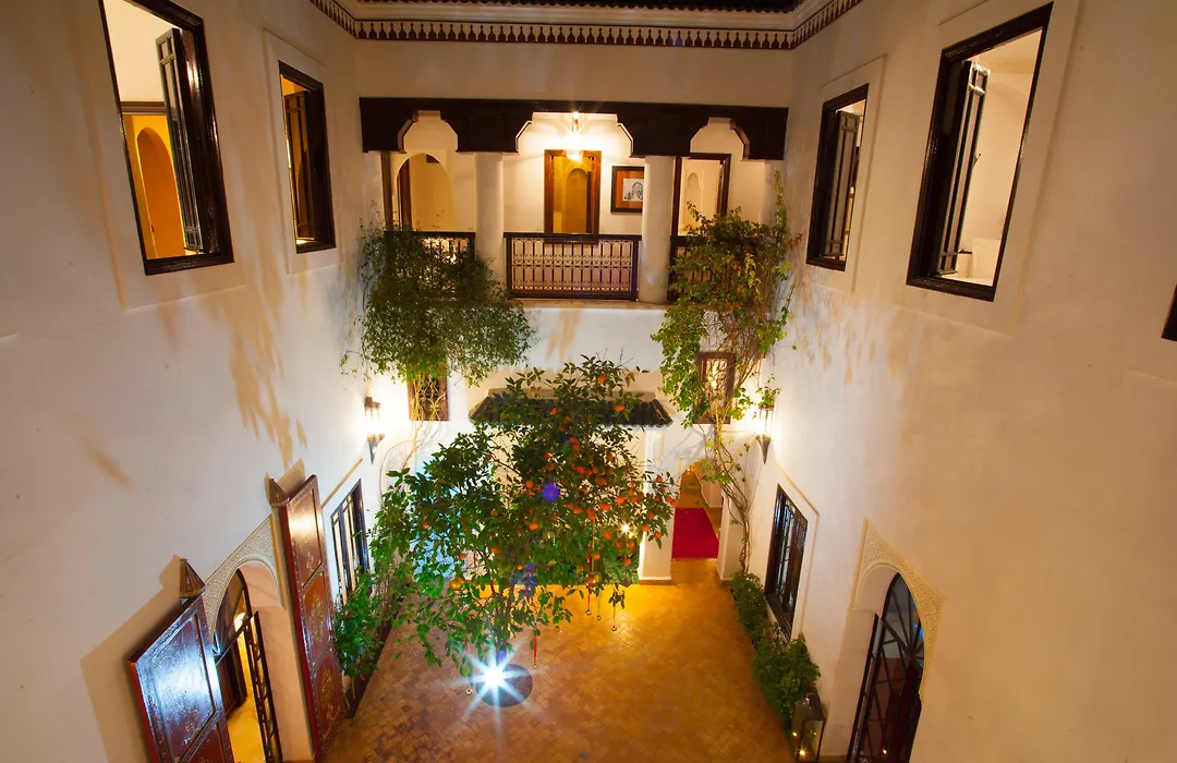 Riad Chergui-1