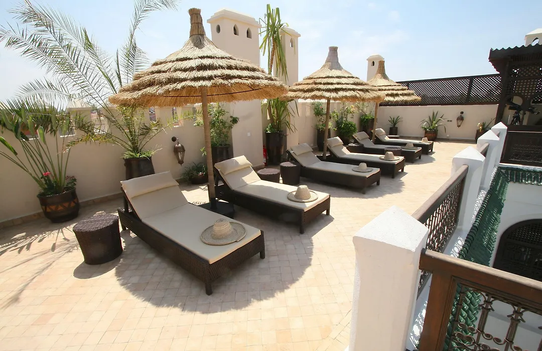 Riad Omri-1