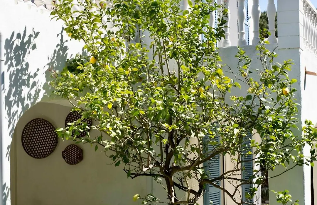 Luxury Family Villa With Large Pool, Garden & Outdoor Dining Near Beach, Domaine L'Oiseau Bleu In Sainte-Maxime-1