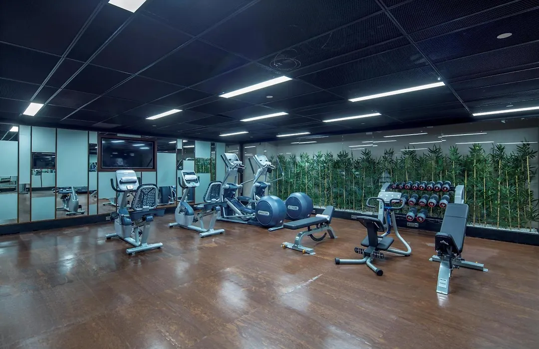 Hilton Garden Inn Istanbul Atatuerk Airport-1
