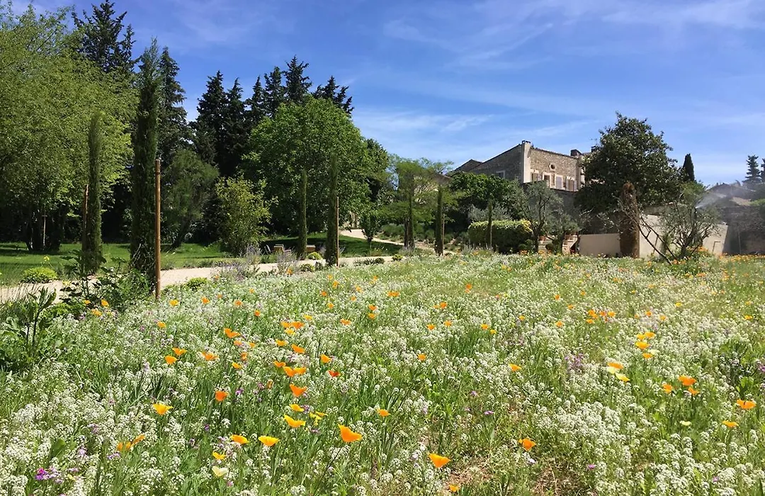 Domaine Les Martins - Gordes-1