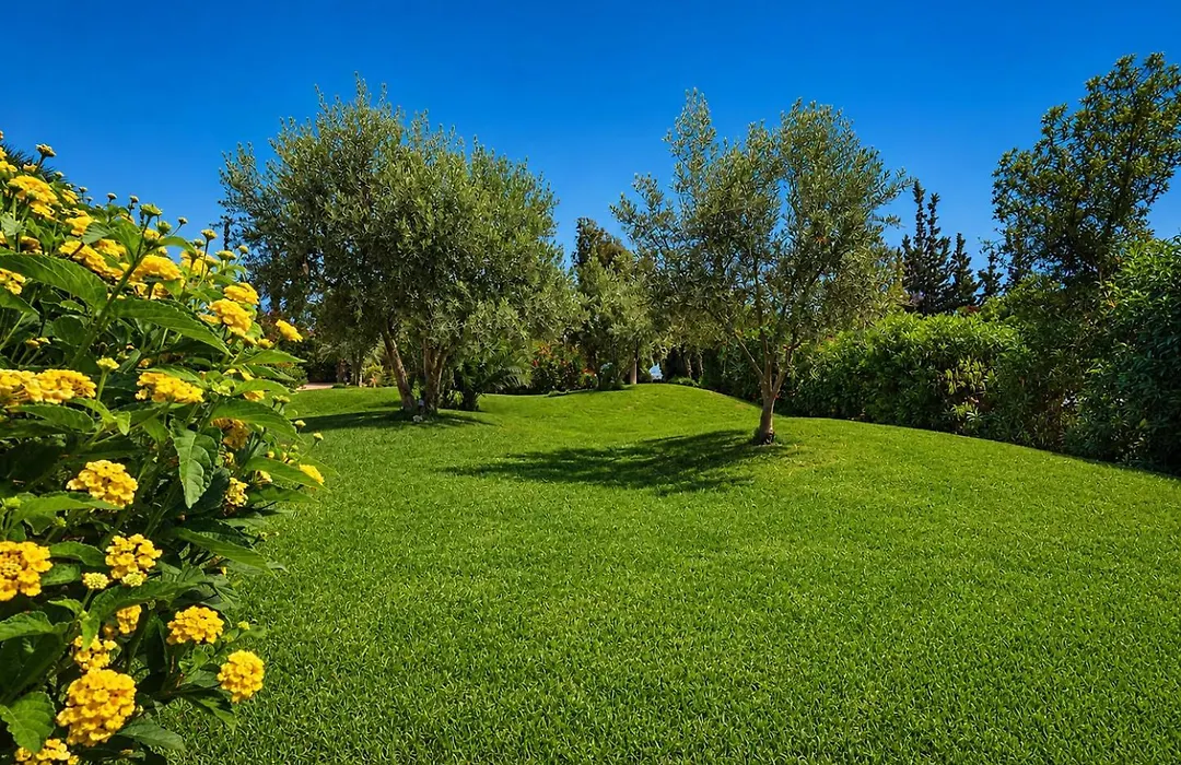 Ourika Camp Suites Hotel & Resort-1