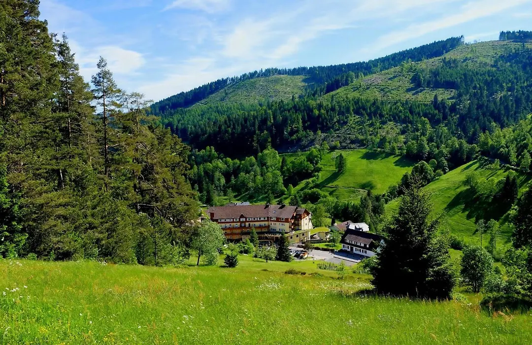 Tanne Tonbach - Wellness & Wohlfuehl Hotel-1