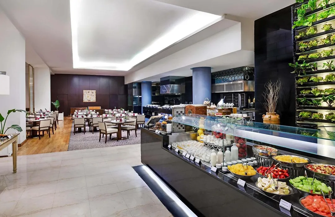 Sofitel Cairo Downtown Nile-1