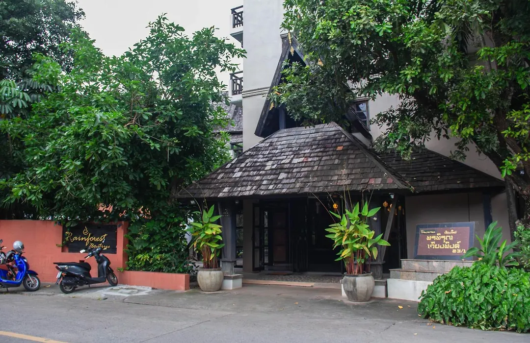 Sunday Rainforest Chiangmai Hotel-1
