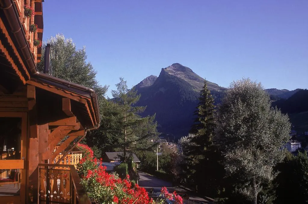 Hotel & Spa Le Dahu-1