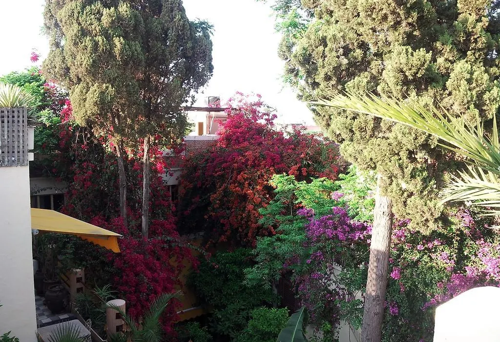 Riad Malika-1