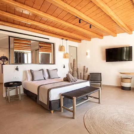 Ikies Of Mykonos-3
