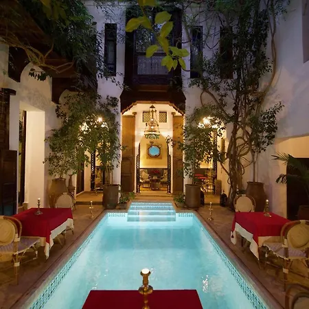 Riad Lyla-3