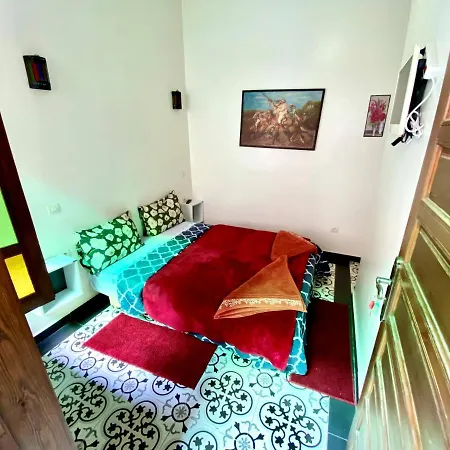 Riad Nouhal-2