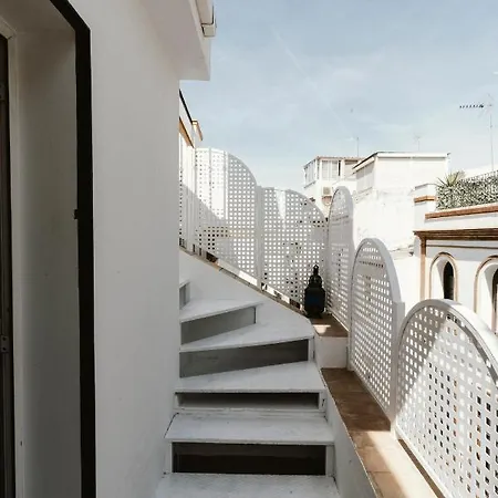 Ohliving Alhondiga-2