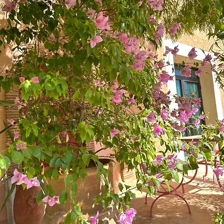 La Villa Des Golfs & Pinkcactus-3