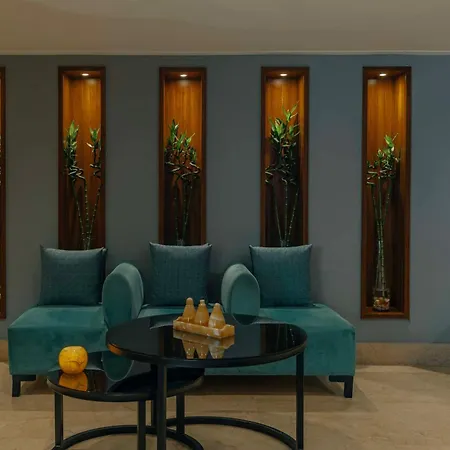 Radisson Blu Hotel, Cairo Heliopolis-2