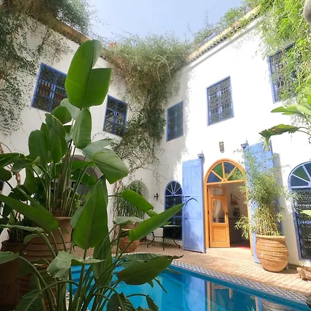 Riad Chameleon-2