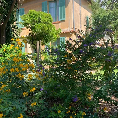 La villa des Amandiers-2
