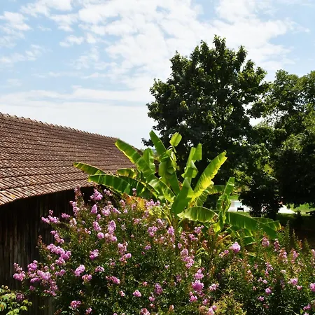 Les bergeronnettes - Chambres d'Hôtes Bergerac-3
