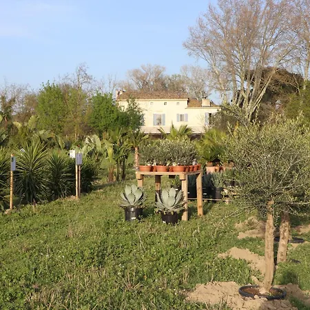 Mas des Cerisiers-2