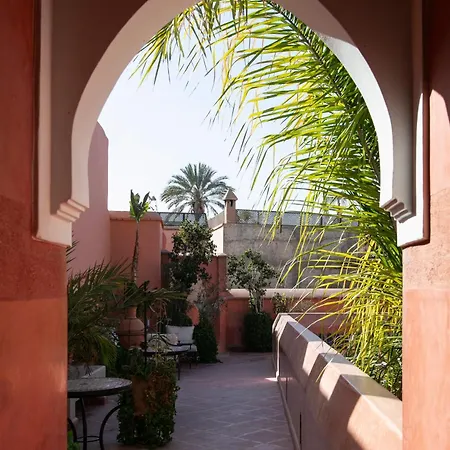 Riad Alili-2