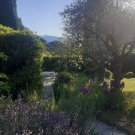 Les Verveines de Vaison-2