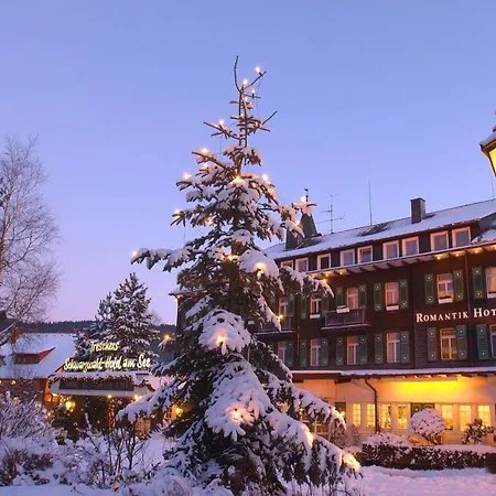Treschers Schwarzwald Hotel-2