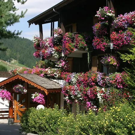 Hotel le Petit Dru-3