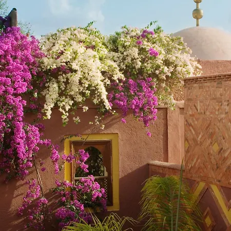 Riad Noga-3