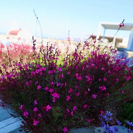 Margie Mykonos Hotel-2