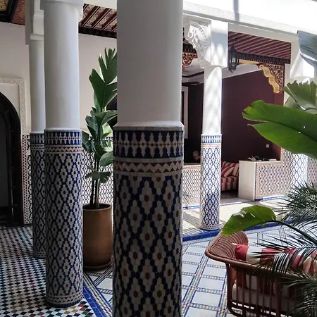 Riad Yakimour-2