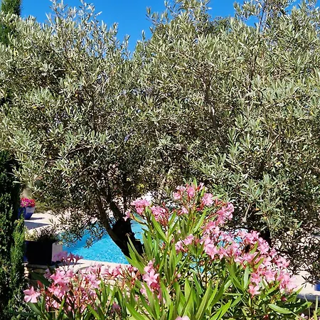 Gîte Stella-2