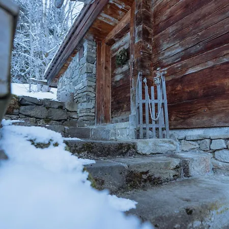 Chalet 1864-2