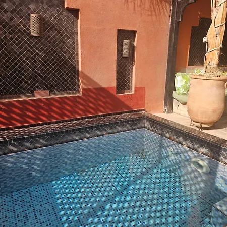 Riad Alegria-3