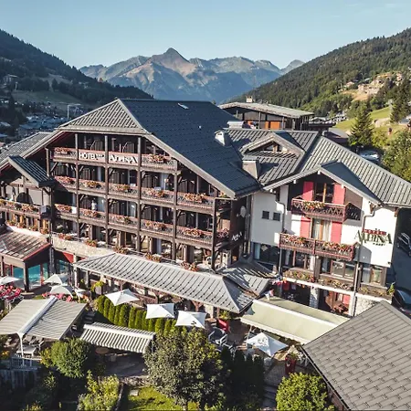 Hôtel Alpina-2