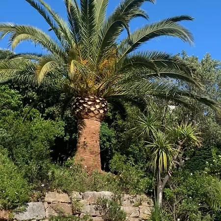 Paradis Provençal-3