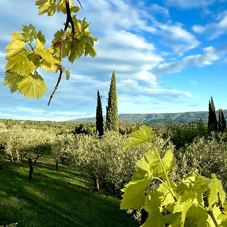 Provence Km28-2