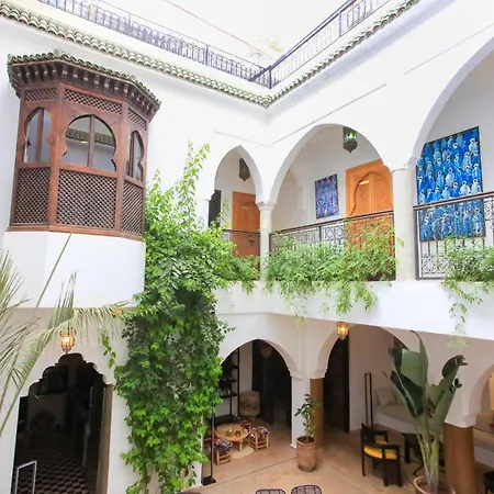 Riad Tampacao-2
